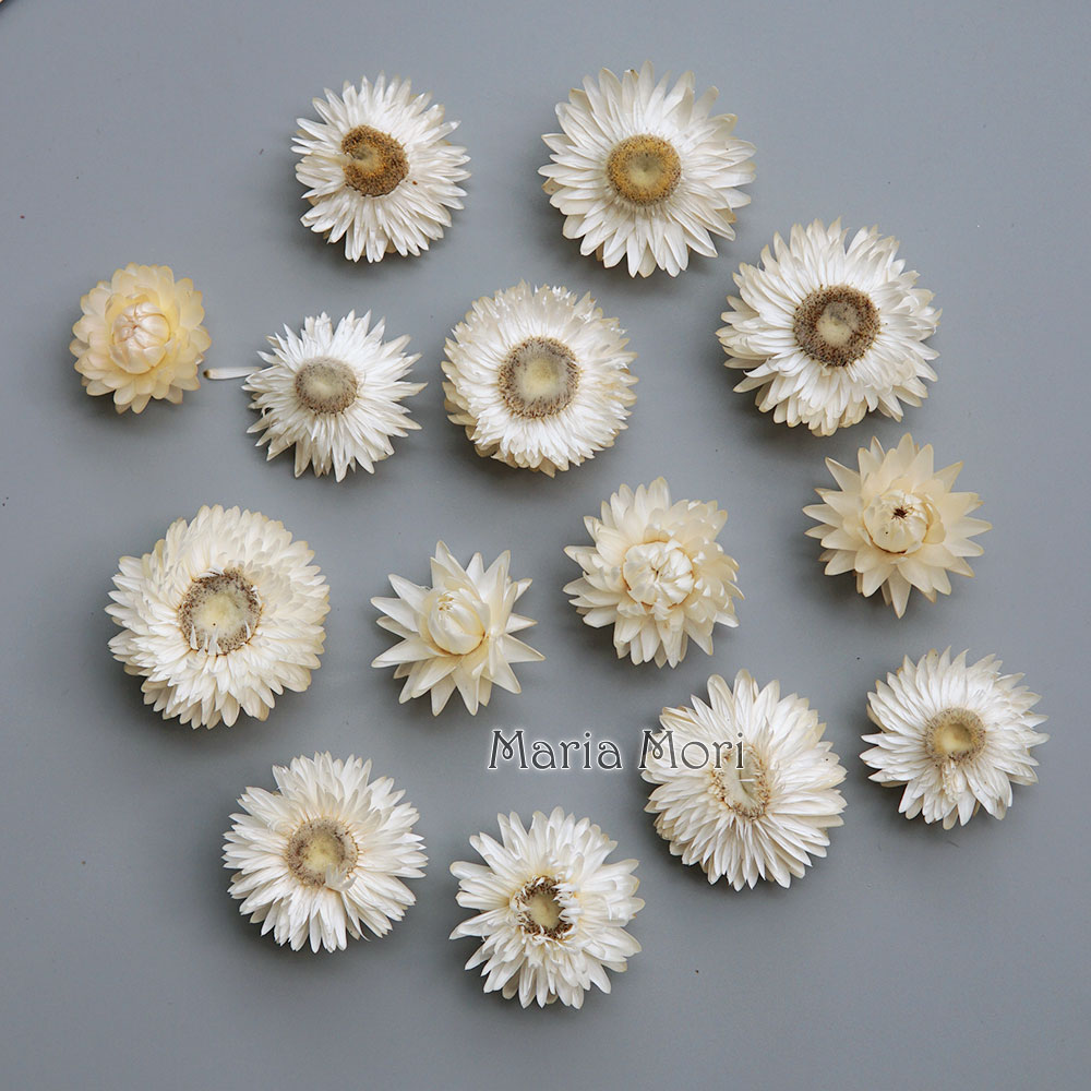 Candle Making Experience - 天然のドライでカラフルな菊の花輪,手作りのヘアアクセサリー,樹脂製品,アロマテラピーキャンドル