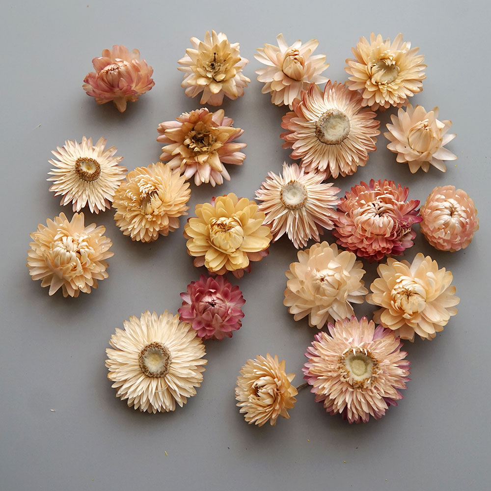 天然のドライでカラフルな菊の花輪,手作りのヘアアクセサリー, - Candle Making Experience のレビューと価格